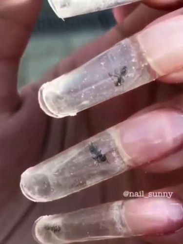 Semut Terjebak di Dalam Kuku, Nail Art Ini Bikin Geleng-geleng Kepala
