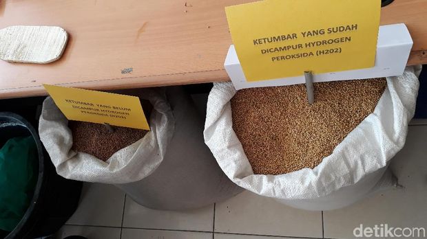 Ketumbar berbahan kimia yang diamankan petugas 
