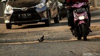 Hal tersebut tentu saja dapat membahayakan pengendara yang melintas khususnya para pemotor.
