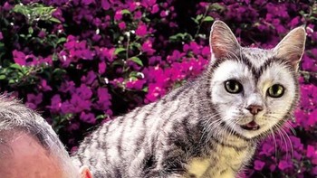 Lucu! Bentuk love hiasi wajah kucing ini. (Foto: Brightside)