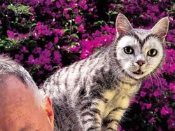 Aneh Tapi Nyata! Ada Kumpulan Hewan Punya Wajah Unik