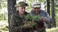 Salah satu foto menunjukkan Putin dan Menhan Shoigu sedang mengamati bibit pohon jarum yang siap ditanam. Foto: Sputnik/Alexei Nikolsky/Kremlin via REUTERS