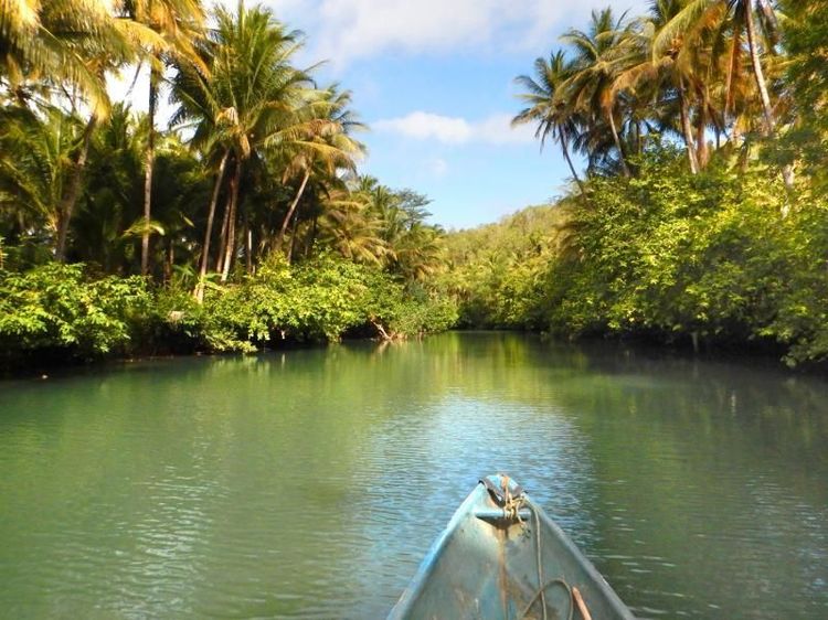 Foto: Menyusuri Sungai Amazon dari Pacitan