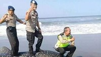 Yang miris adalah ada 3 orang polisi yang foto-foto dengan bangkai hiu itu dengan pose menginjak. Polda DIY meminta maaf atas ulah 3 polisi itu dan memeriksa mereka. 