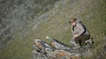 Gaya Macho Putin Saat Mendaki Gunung Siberia