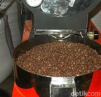 Ini Sebabnya Kopi Tambora yang Unik Sukses Ditanam Sejak Masa Kolonial