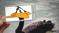 Lucunya Daffy Duck. Dok. Instagram/francoisdourlen