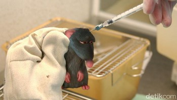 Foto: disneyunhappilyeverafter.tumblr.com