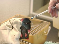 Potret Karakter Disney dan Kerusakan Alam Bikin  Miris