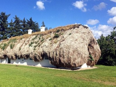 Penginapan Unik di Denmark, Atapnya 32 Ton Rumput Laut Penginapan Unik di Denmark, Atapnya 32 Ton Rumput Laut