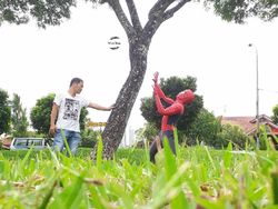 Aksi Superhero Mainan Saat Bersantai di Rumah