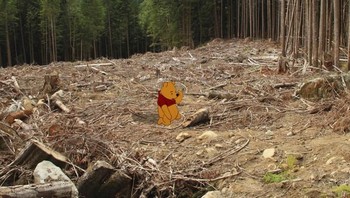 Pooh dan hutan yang mulai gundul. Foto: disneyunhappilyeverafter.tumblr.com