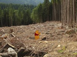 Potret Karakter Disney dan Kerusakan Alam Bikin  Miris