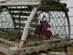 Potret Karakter Disney dan Kerusakan Alam Bikin  Miris