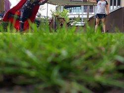 Aksi Superhero Mainan Saat Bersantai di Rumah