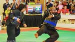 Fariz Alfarazi, Bintang Wiro Sableng dan Mantan Atlet Silat