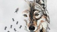 Kadang kala Iantha juga menggunakan gambar semut sebagai objek lukisannya. My new drawing~ ants turn into wolf.. With one ant queen, tulisnya di keterangan foto. Foto: Iantha Naicker