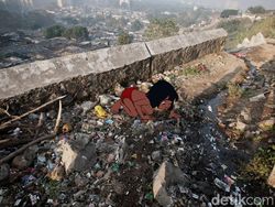 Potret Karakter Disney dan Kerusakan Alam Bikin  Miris