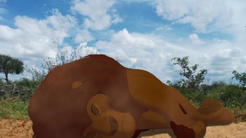 Simba jadi korban perburuan liar. Foto: disneyunhappilyeverafter.tumblr.com