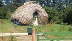 Foto: Rumah Rumput Laut dari Denmark