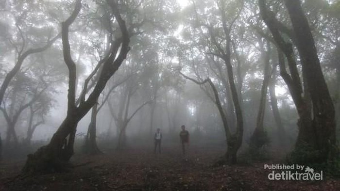 Gunung Manglayang