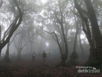 Kisah-kisah Pendaki Tersesat di Pegunungan Jawa Barat