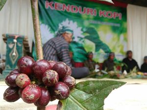Petani Purworejo Syukuran Panen Kopi dengan Gelar Kenduri Kopi