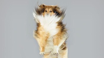 Foto: Boredpanda/Julia Christie