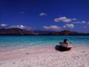 Populer Sepekan: Taka Makassar-Turis Arab Saudi Tewas Saat Rafting