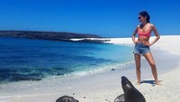 Main ke Galapagos, Sara dapat kesempatan untuk berfoto dengan anjing laut liar. Tapi tetap dengan jarak aman tentunya. (sarasampaio/Instagram)