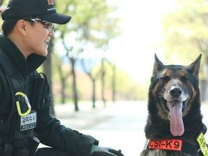 Mati Digigit Ular, Anjing Polisi Korsel Dapat Penghormatan Khusus