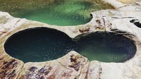 Bentuknya tampak seperti angka delapan (NSW National Parks and Wildlife Service)
