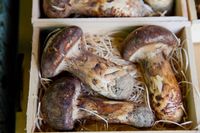 Dari Semangka hingga Kari, Ini 10 Makanan di Dunia Berharga Fantastis
