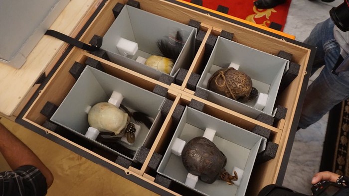 Australia Selamatkan Tengkorak Suku Asmat dan Dayak Milik RI