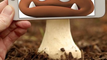 Goomba dari game Mario Bros disatukan dengan jamur asli. Foto: instagram.com/francoisdourlen/