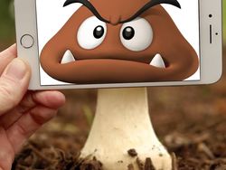 Kreatif! Gambar di iPhone Disatukan dengan Dunia Nyata