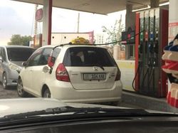 Potret Viral Tingkah Kocak Para Pemalas