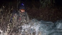 Pasukan khusus TNI AL dengan cekatan melipat parasut yang digunakan dalam penerjunan. Istimewa/Dispen Kormar.