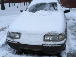 Potret Viral Tingkah Kocak Para Pemalas