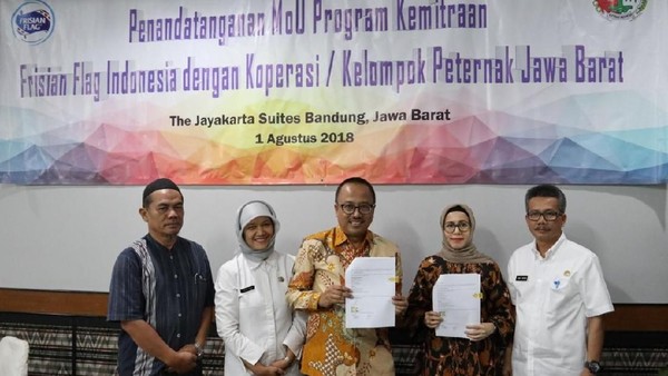 Sinergi FFI dengan Peternak Sapi