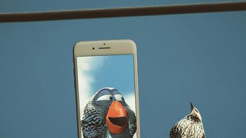  Tapi dia tidak menemukan cara yang tepat untuk menuangkannya.Foto: instagram.com/francoisdourlen/ 