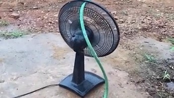 Bisa dicoba nih siram tanaman dengan bantuan kipas angin. (Foto: Brightside)