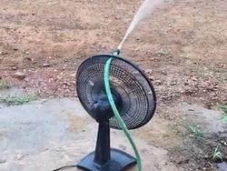 Potret Viral Tingkah Kocak Para Pemalas