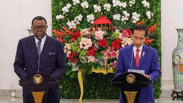 Jokowi dengan Geingob juga menghasilkan kesepakatan di bidang perikanan-kelautan hingga perdagangan.