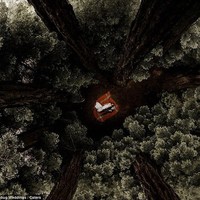 Indahnya foto karya Elisabetta Redaelli dari Lilly Red Creative, memberi angle berbeda dari pasangan di Gleen Oaks Big Sur, California. Foto: Dok. Junebug /Lilly Red Creative