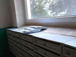 Potret Viral Tingkah Kocak Para Pemalas