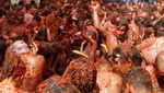160 Ton Tomat Meriahkan Festival Tomatina 2018 di Spanyol