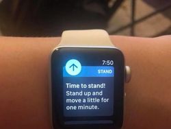 Potret Viral Tingkah Kocak Para Pemalas