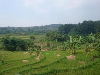 Asyiknya Main Basah-basahan di Curug Bogor Asyiknya Main Bas ah-basahan di Curug Bogor