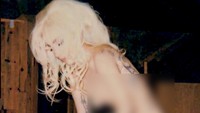 Ia selalu mengunggah foto dirinya tanpa busana. Dok. Instagram/ladygaga